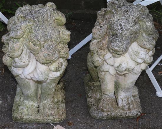 Pair of garden lions